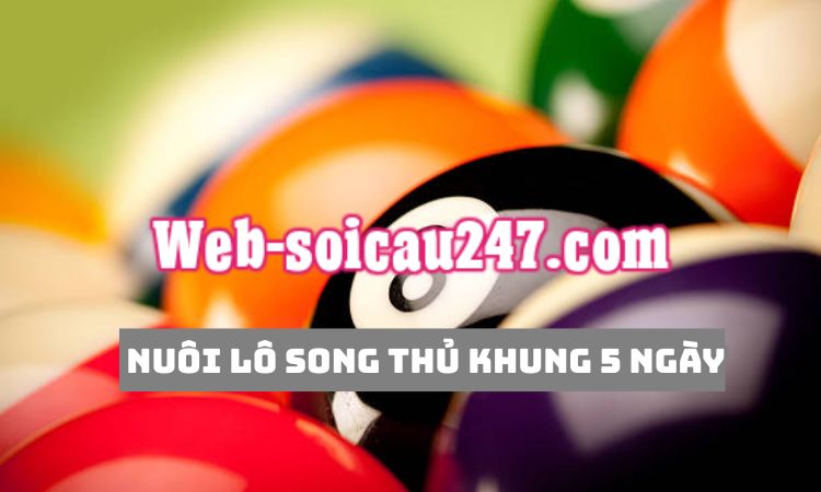 Nuôi lô song thủ khung 5 ngày là phương pháp phổ biến trong cộng đồng chơi lô đề hiện nay