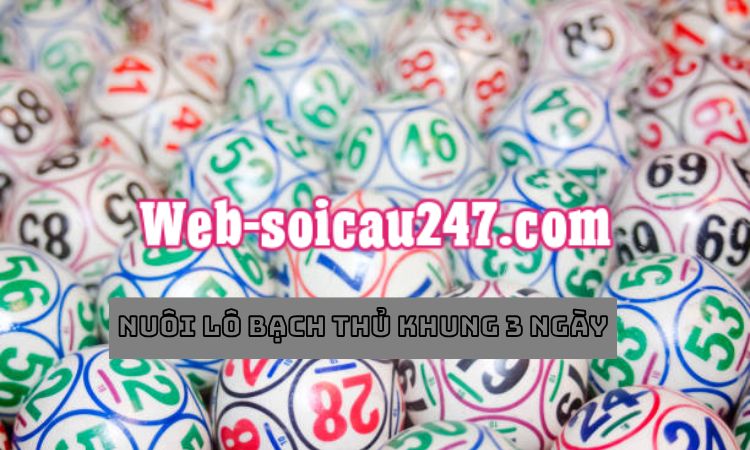 Nuôi lô bạch thủ khung 3 ngày được anh em lô thủ sử dụng phổ biến